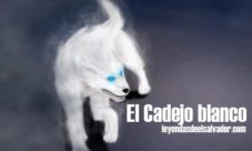 El Cadejo blanco